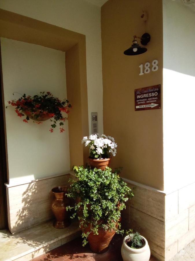 Casa Bluelive Guest House Venafro Exterior photo